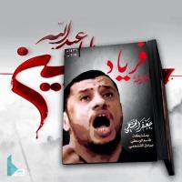 إصدار فرياد (صرخة)