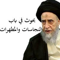 بحوث في باب النجاسات والمطهرات