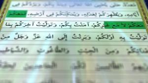 زيارة الجامعة الكبيرة ـ البراءة