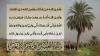 زيارة الاربعين