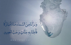 وَنَزَّلْنَا مِنَ السَّمَاءِ مَاءً مُبَارَكًا فَأَنْبَتْنَا بِهِ جَنَّاتٍ وَحَبَّ الْحَصِيدِ