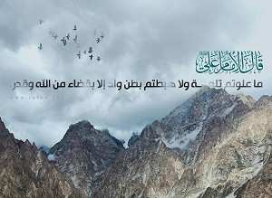 قال الإمام علي عليه السلام: ما علوتم تلعة ولا هبطتم بطن واد إلا بقضاء من الله وقدر