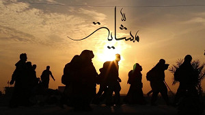 مَشّایه