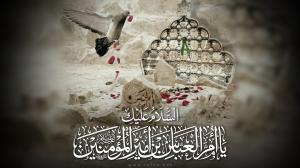 السلام عليك يا ام العباس...