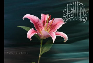 یا فاطمة الزهراء(س)