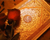 قراءات مشهورة