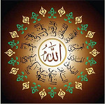 مجالس أهل البيت (ع)