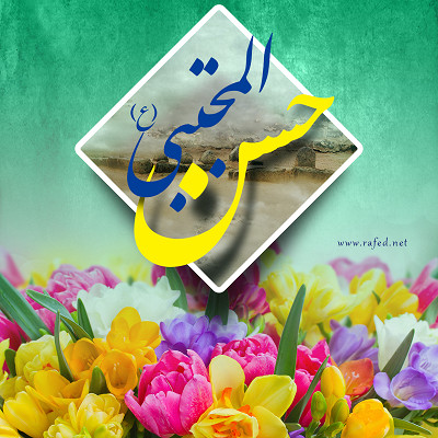 ولادة الإمام الحسن بن علي ( عليه السلام )