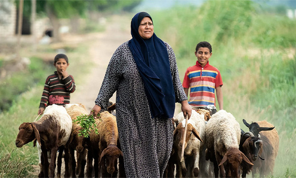 المرأة الريفية أم الحضارة الإنسانية
