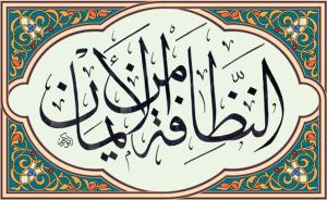 سنن النبي صلى الله عليه وآله وسلم في النظافة والزينة