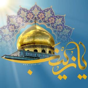السيدة زينب نِعم الأخت